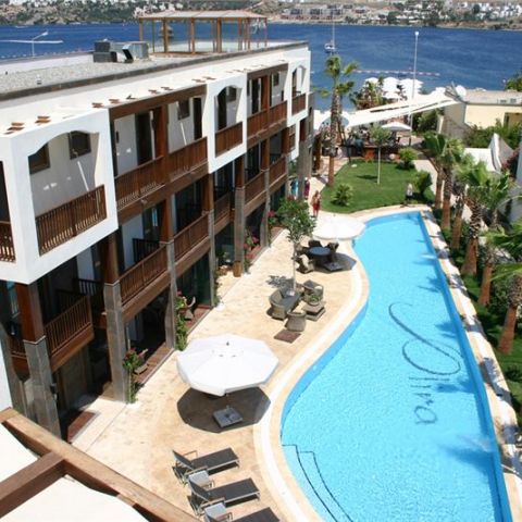 O'lira